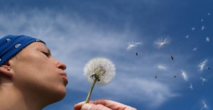 dandelion blowing